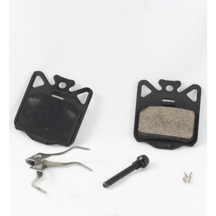 Campagnolo Schijfremblokken Met Veer  