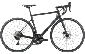 Bulls Desert Falcon 1 2021  