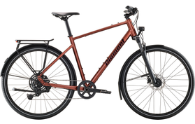 Diamant Mahon Trip Core 2026  