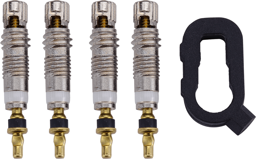 BBB Cycling BTI-161 ValveCore Set  