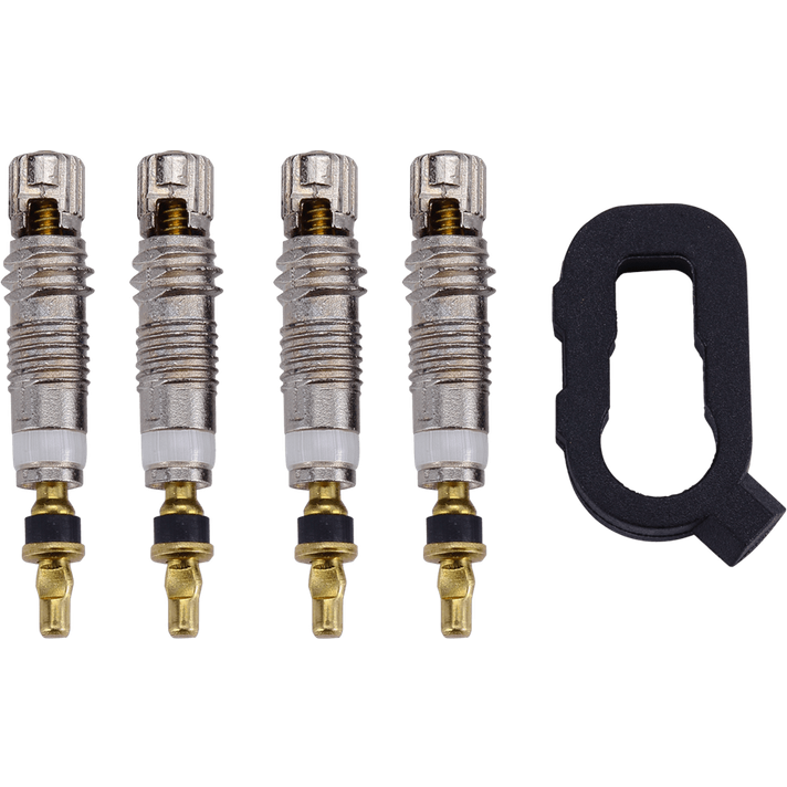 BBB Cycling BBB Cycling BTI-161 ValveCore Set  