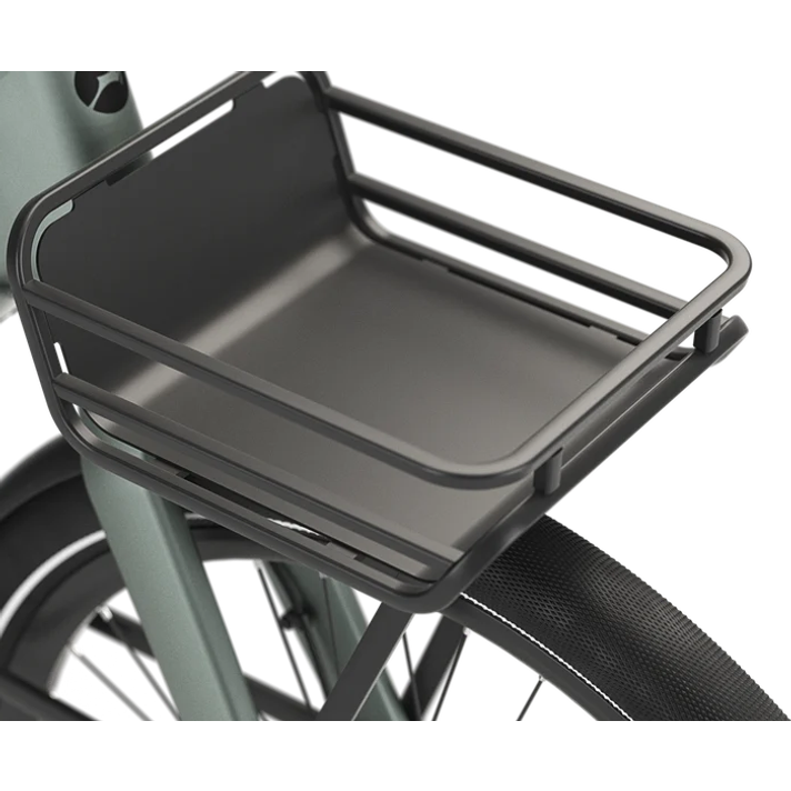 Gazelle Gazelle Cayo Voordrager  