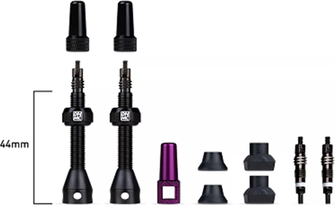 Dynamic Bike Care Barkeeper Tubeless Ventiel Set  