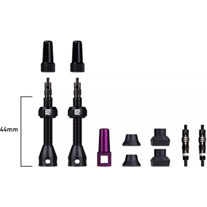 Dynamic Bike Care Dynamic Bike Care Barkeeper Tubeless Ventiel Set  