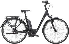 Pegasus Pegasus Premio E8F Belt 2020  