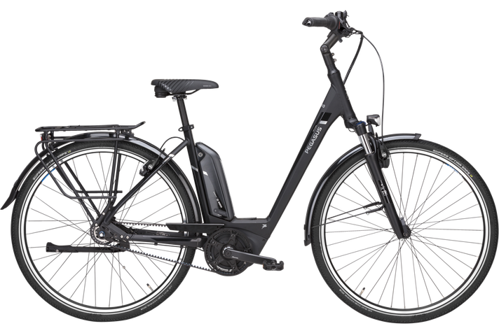 Pegasus Pegasus Premio E8F Belt 2020  