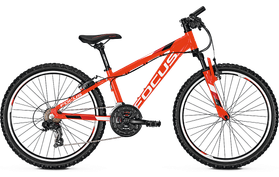 Focus Raven Rookie 24 inch 2019  