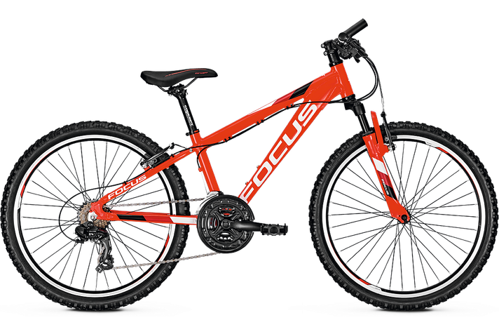 Focus Focus Raven Rookie 26 inch 2019  