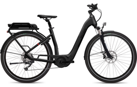 Flyer Gotour 2 5.0 2019  