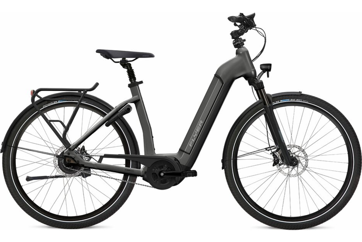 Flyer Gotour6 5.20 Comfort 2022  