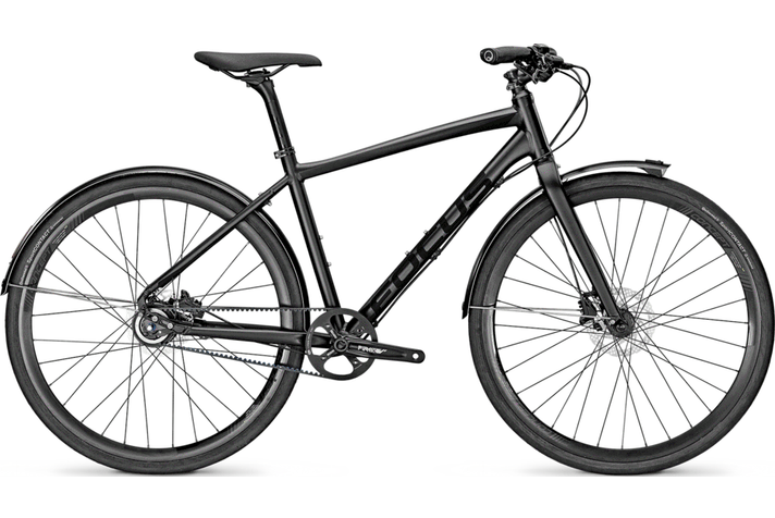 Focus Planet Pro Plus 2016  