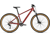 Focus Whistler 3.7 2025  
