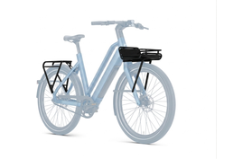 Gazelle Cayo Dragerset  