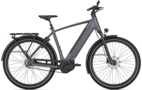 Gazelle Ultimate C5+ HMB 2027 Demo  