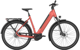 Gazelle Gazelle Ultimate C5+ HMB 2026  