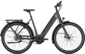 Gazelle Gazelle Ultimate C5 HMB 2024  