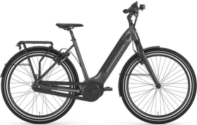 Gazelle Gazelle Ultimate C8+ HMB 2021  