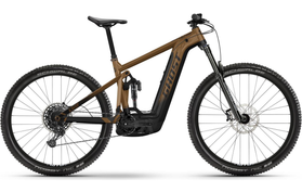 Ghost Ghost E-Riot Trail AL Advanced 750 Wh  