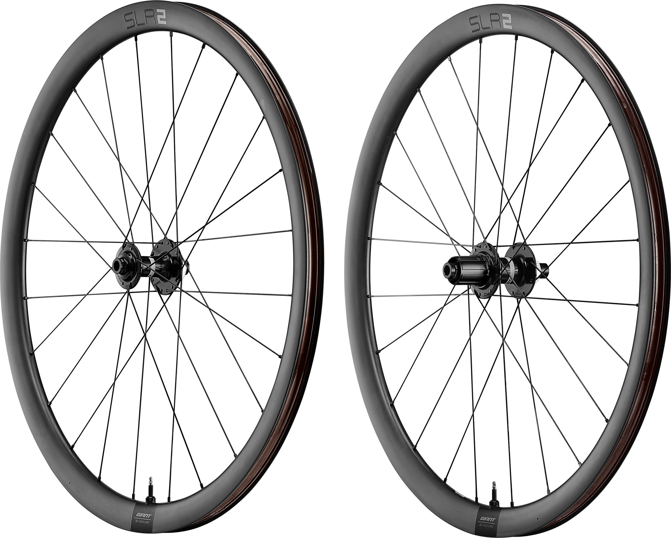 Giant SLR 2 36 Disc Racefiets Wielset  