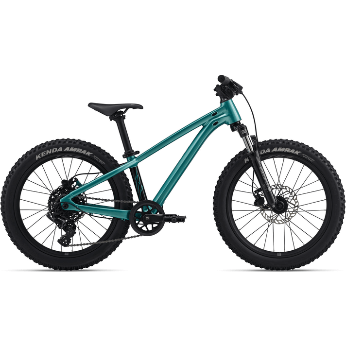 Giant Giant STP 20 FS 2026  