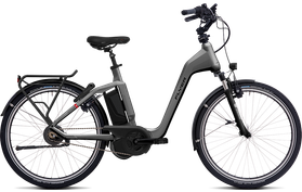 Flyer Gotour 4 7.00 2019  