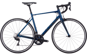 Bulls Bulls Harrier 1  