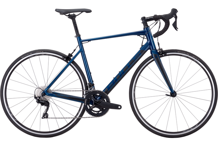 Bulls Bulls Harrier 1  