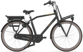 Gazelle HeavyDuty NL HMB C7 2020  