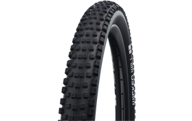 Schwalbe Schwalbe Wicked Will Performance ADDIX MTB Buitenband  