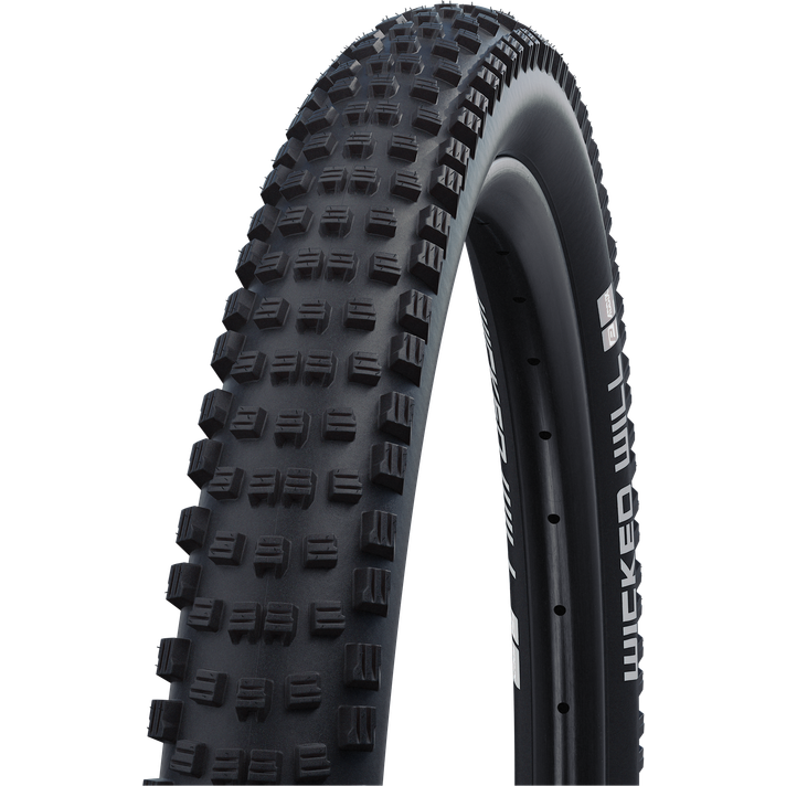 Schwalbe Schwalbe Wicked Will Performance ADDIX MTB Buitenband  