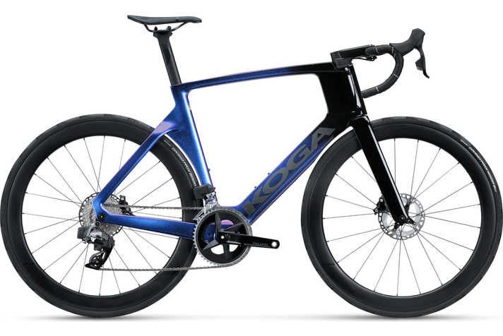 Koga Koga Kinsei Premium 2025  