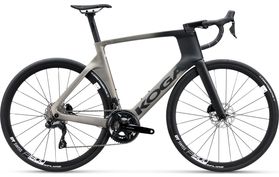 Koga Koga Kinsei Prestige 2024  