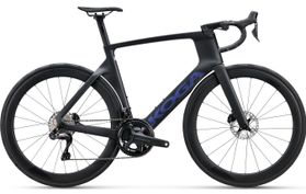 Koga Koga Kinsei Prime 2025  