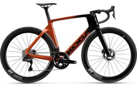 Koga Kinsei Pro 2025  