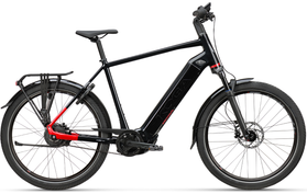 Koga Koga Pace B10 Suspension 2025  