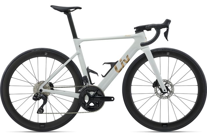 Liv Enviliv Advanced 1 2026  