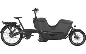 Gazelle Gazelle Makki Travel HMB 2026  