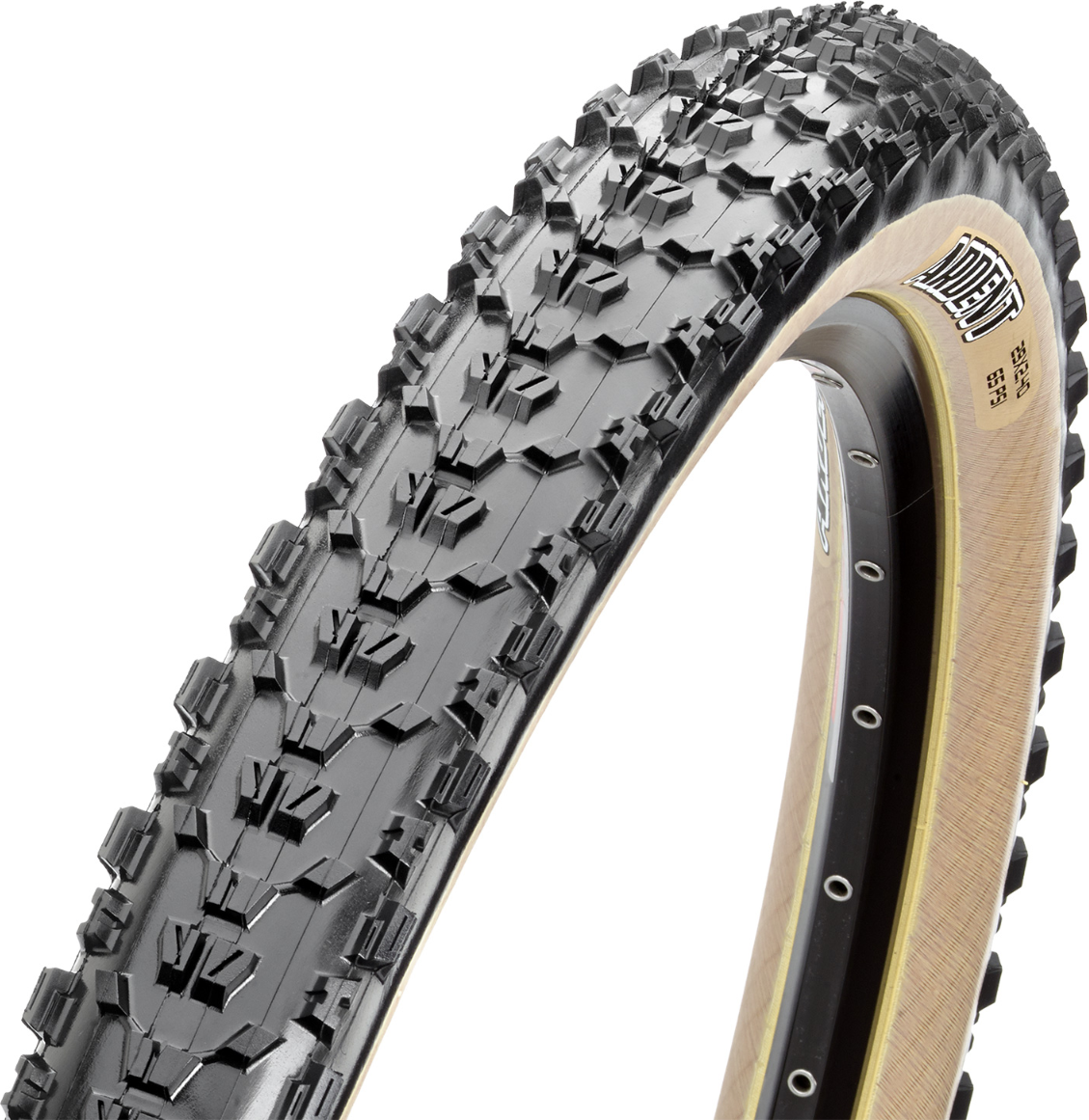 Maxxis Ardent Dual EXO TLR MTB Buitenband  