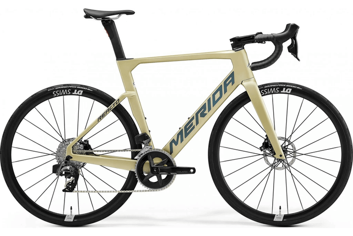 Merida Reacto Rival Edition 2024  