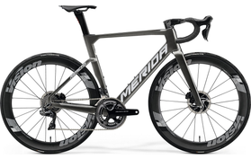 Merida Reacto Team 2024  