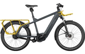 Riese & Müller Multicharger GT Vario Purion Utility 2022  