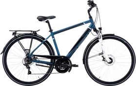 Pegasus Piazza 21V Disc  