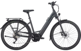 Pegasus Pegasus Premio EVO 10 Lite 2024  