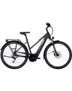 Pegasus Premio EVO 10  