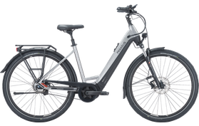 Pegasus Pegasus Premio EVO 5F Belt 2024  