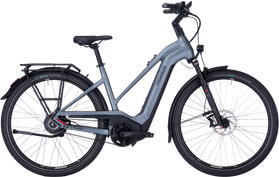 Pegasus Pegasus Premio EVO Enviolo Belt  