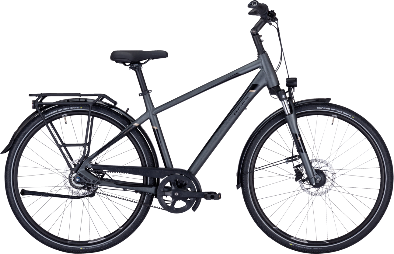 Pegasus Premio SL Belt 8V  