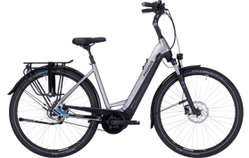 Pegasus Pegasus Ravenna EVO 5 Belt  