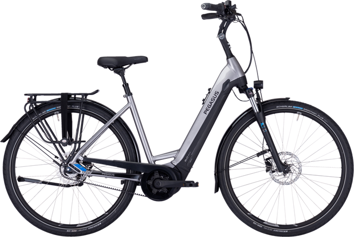 Pegasus Pegasus Ravenna EVO 5 Belt  