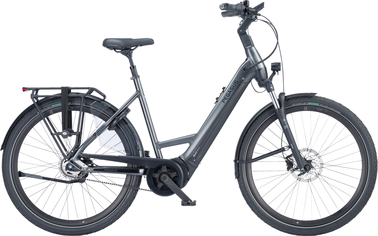 Pegasus Ravenna EVO 5F Belt NL 2024  